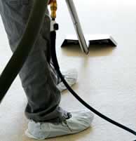All Clean carpet cleaning a carpet in new york